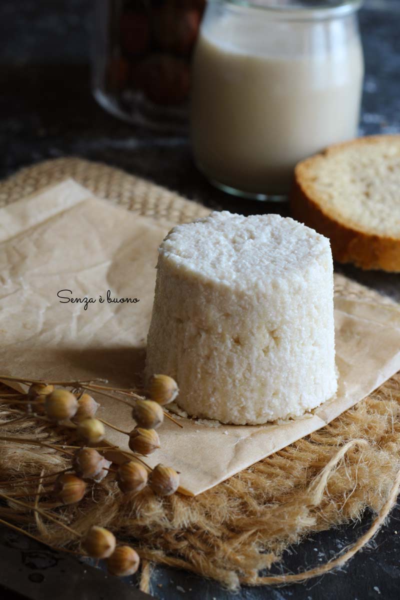 Ricotta vegetale senza soia 2 ingredienti